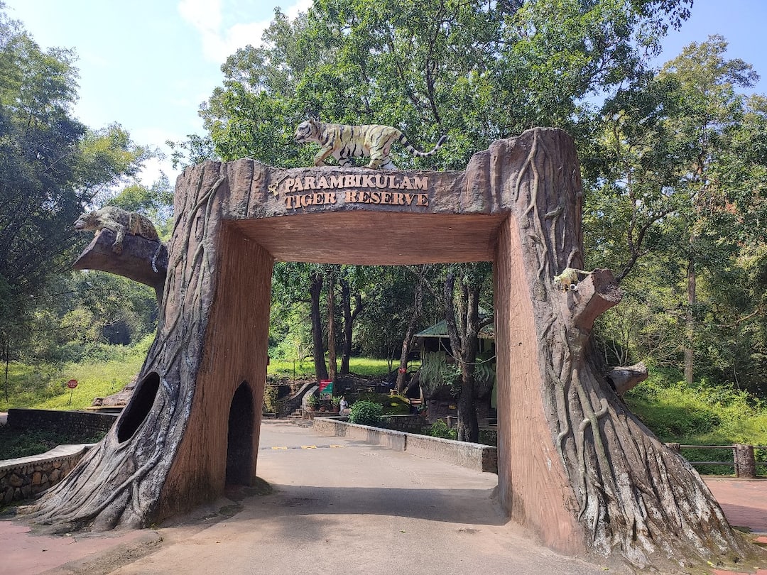 ‘ஆச்சரிய வனம், அதிசய அணைகள், ஆதி கன்னிமாரா தேக்கு’ - பரம்பிக்குளம் சுற்றுலா விபரங்கள் இதோ..!