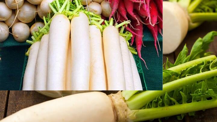 Radish Benefits: શિયાળાની ઋતુ તેની સાથે ઘણી સમસ્યાઓ લઈને આવે છે, જેના માટે સાવચેત રહેવું જરૂરી છે. આવી સ્થિતિમાં તમે મૂળાનું સેવન વધુ ફાયદાકારક છે.