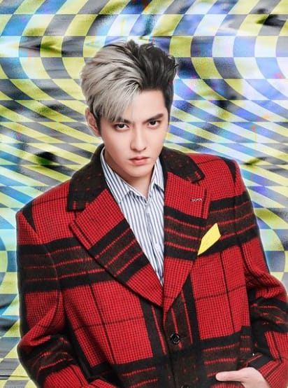 बलात्काराच्या आरोपानंतर अनेक मोठ्या ब्रॅंड्सनी क्रिससोबतची भागीदारी संपवली. यात काही आंतरराष्ट्रीय ब्रॅंड्सचादेखील समावेश होता.