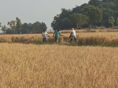 అప్పు ఇచ్చిన పాపానికి దివ్యాంగుడిపై దాడి, ఏం జరిగిందంటే?