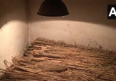 Winter Care: પ્રાણી સંગ્રહાલયમાં સરિસૃપ, વાઘ સહિતના પ્રાણીઓને ઠંડીથી બચાવવા કરવામાં આવી ખાસ વ્યવસ્થા, જુઓ તસવીરો