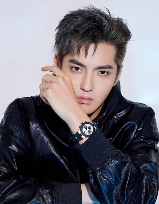 क्रिस दक्षिण कोरियन बँड 'एक्सो'चादेखील सदस्य होता. पण 2014 साली त्याने एक्सो सोडलं.