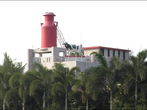 Photo : गायीच्या दूध आणि शेणातून बांधला एक कोटीचा बंगला