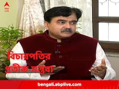 'প্রয়োজনে নির্বাচন কমিশনকে তৃণমূলের লোগো প্রত্যাহার করতে বলব', মন্তব্য বিচারপতির গঙ্গোপাধ্যায়ের
