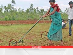 100% सब्सिडी पर मिल रहे आधुनिक कृषि यंत्र, हर परिवार को 5000 रुपये भी देगी सरकार, फटाफट करें आवदेन