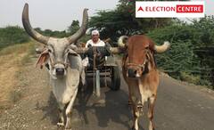 Gujarat Election 2022: ખેડૂતોને રિઝવવા ભાજપે સંકલ્પ પત્રમાં શું કર્યા વાયદા ?