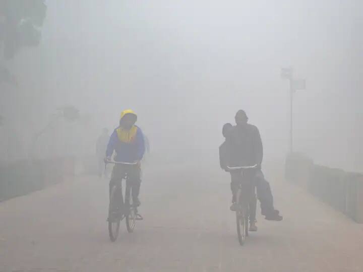 Madhya Pradesh Weather Update According to Meteorological Department todays temperature cold wave winter MP Weather Forecast: तापमान में आ रही गिरावट, जानिए- किस जिले में आज कैसा रहेगा मौसम का हाल?