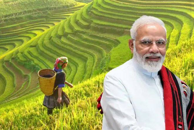 modi government is ready to make big changes in pmfby pradhan mantri fasal bima yojana know details PMFBY: ਕਿਸਾਨਾਂ ਨੂੰ ਸਰਕਾਰ ਦੇਣ ਜਾ ਰਹੀ ਹੈ ਵੱਡੀ ਖ਼ਬਰ ! ਜਾਣੋ ਕੀ ਹੈ ਖ਼ਾਸ