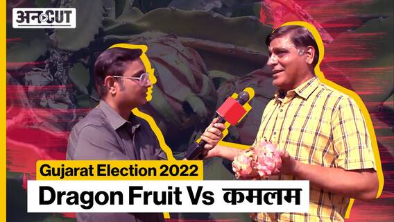 Gujarat Election 2022: Dragon Fruit का नाम बदल कर कमलम रखने से क्या होगा चुनाव में फायदा? BJP Vs AAP