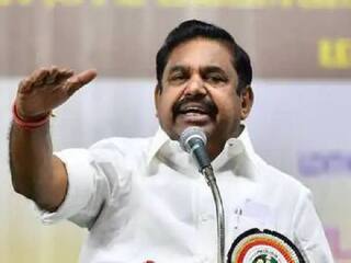 EPS : தமிழ்நாட்டில் கால்நடைகளுக்கான தடுப்பு மருந்துகள் தட்டுப்பாடு - இ.பி.எஸ். குற்றச்சாட்டு