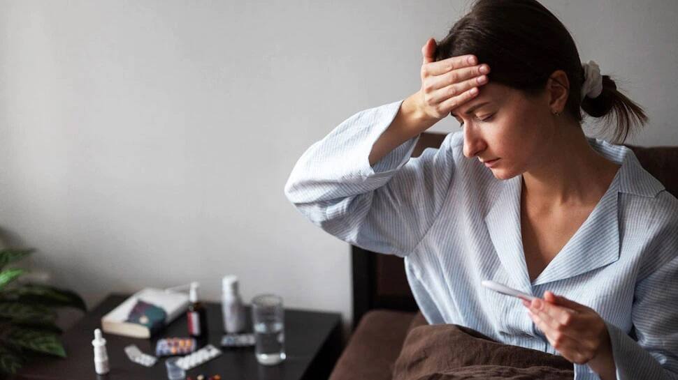 Winter diet tips : વાયરલ ઇન્ફેકશને ફટાફટ ભગાડશે આ 4 ફૂડ, શિયાળામાં અચૂક ડેઇલી ડાયટમાં કરો સામેલ Foods to eat for viral infection fever cure protein rich diet fruits vegetables water turmeric milk Winter diet tips : વાયરલ ઇન્ફેકશને ફટાફટ ભગાડશે આ 4 ફૂડ, શિયાળામાં અચૂક ડેઇલી ડાયટમાં કરો સામેલ