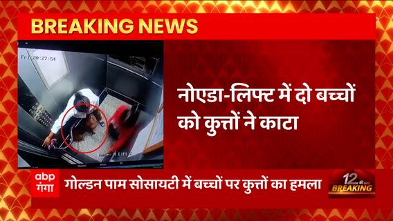 Noida में फिर कुत्तों के हमले का नया मामला, लिफ्ट में कुत्ते ने दो बच्चों पर किया हमला