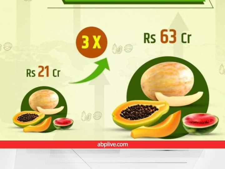 Indian export of melons, watermelons and papayas increase 3 times reached 63 crores in Last 8 years Agri Export: इन 3 देसी फलों के विदेशी भी हुए दीवाने, तीन गुना बढ़ा एक्सपोर्ट तो किसानों ने भी कमा लिए इतने करोड़