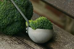 Broccoli: ப்ரோக்கோலியில் இவ்வளவு நன்மை இருக்கா..? அப்ப உடனே இதை வாங்கி சாப்பிடுங்க!
