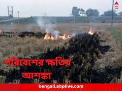 বিধিনিষেধের তোয়াক্কা না করেই ফসলের গোড়া পোড়াচ্ছেন কৃষকরা ! উত্তর দিনাজপুরে পরিবেশ ক্ষতির আশঙ্কা