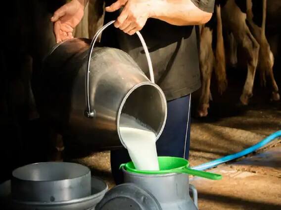 Photo : भारतात दुधाला 50 रुपयांचा दर, तर पाकिस्तान आणि बांगलादेशमध्ये किती?