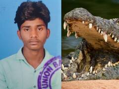 ஆற்றில் குளித்த இளைஞரை இழுத்துச்சென்ற முதலை..4 மணிநேரத்திற்கு பிறகு சடலமாக மீட்பு! சிதம்பரம் அருகே பரபரப்பு..