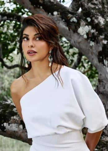 आर्थिक गुन्हे शाखेसमोर जॅकलिन नेमकं काय म्हणाली हे अद्याप समोर आलेलं नाही.