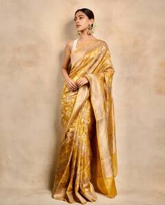 Anu Emmanuel Photos: అను చీర కడితే శిల్పం చిన్నబోతుందేమో!