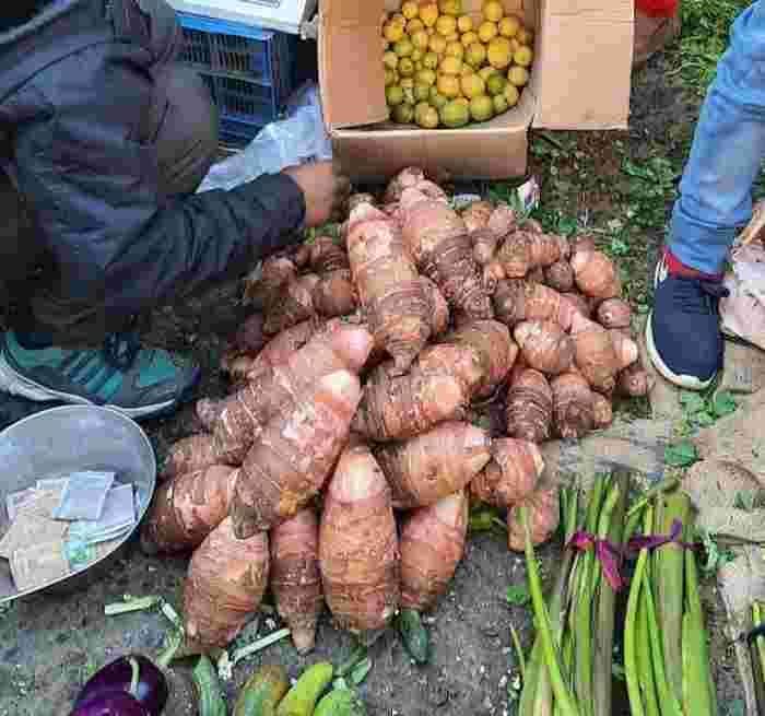 गडेरी: गडेरी की सब्जी में कई पोषक तत्व होते हैं जिनमें फाइबर, प्रोटीन, पोटेशियम, विटामिन ए, विटामिन सी, आयरन और कैल्शियम आदि. सब्जी का उत्पादन अल्मोड़ा जिले में किया जाता है. इसके सेवन से न केवल सर्दियों में शरीर गर्म रहता है बल्कि ब्लड प्रेशर, दिल से संबंधित बीमारियां, डायबिटीज आदि की समस्या कम होती है. ये 40 से 50 रूपये प्रति किलो के हिसाब से आपको मिल जाएगी.