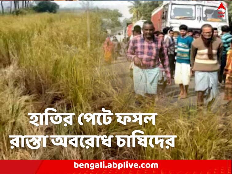 Jhargram, Elephant attacks have caused huge damage to crops, blocking roads to demand compensation Jhargram: হাতির হামলায় বিপুল ক্ষতি ফসলের, ভোর থেকে পথ অবরোধ