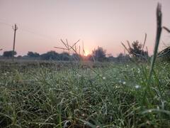 আরও কমল তাপমাত্রা, শুক্রবার থেকে হাওয়া বদল রাজ্যে