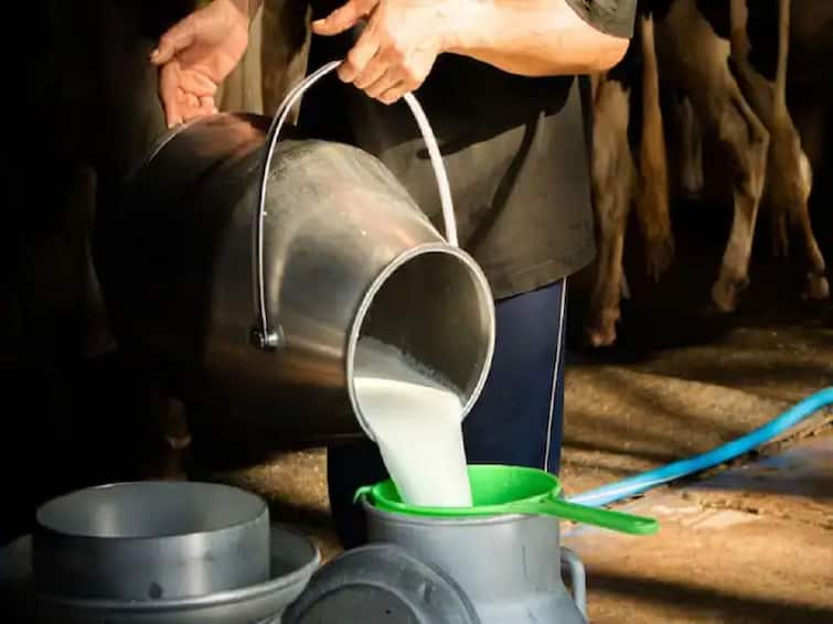 Milk Price what are the rates in china pakistan bangladesh nepal Milk Price : भारतात दुधाला सरासरी 50 रुपयांचा दर, तर पाकिस्तानसह नेपाळ आणि बांगलादेशमध्ये किती?  वाचा सविस्तर...