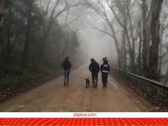 Walk In Winter: सर्दियों में मॉर्निंग वॉक पर जाना कितना सही, क्या है सही समय और तरीका