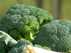 Broccoli: ப்ரோக்கோலியில் இவ்வளவு நன்மை இருக்கா..? அப்ப உடனே இதை வாங்கி சாப்பிடுங்க!