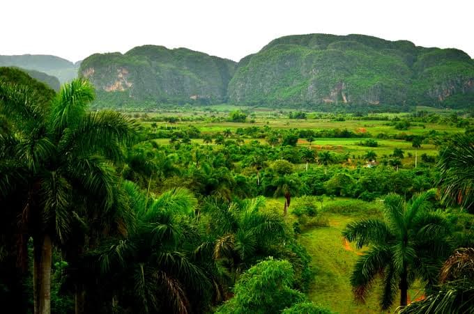 क्यूबा : क्यूबा अपनी मेडिकल फैसिलिटिज के लिए जाना जाता है. क्यूबा ज्यादा लाइमलाइट में नहीं आता लेकिन ये देश प्राकृतिक सुंदरता का एक बेहतरीन डेस्टिनेशन है.