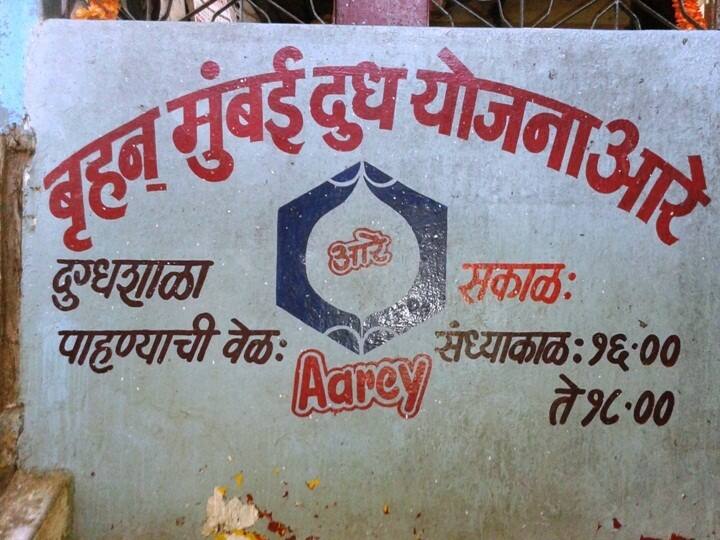 Aarey Dairy Milk Mumbai warli kurla stop latest marathi news update आरे डेअरी मोजतेय शेवटच्या घटका! डेअरीच्या नावाचे सर्व प्रकल्प सध्या बंद