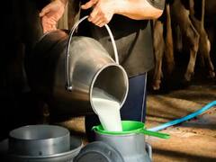 Photo : भारतात दुधाला 50 रुपयांचा दर, तर पाकिस्तान आणि बांगलादेशमध्ये किती?