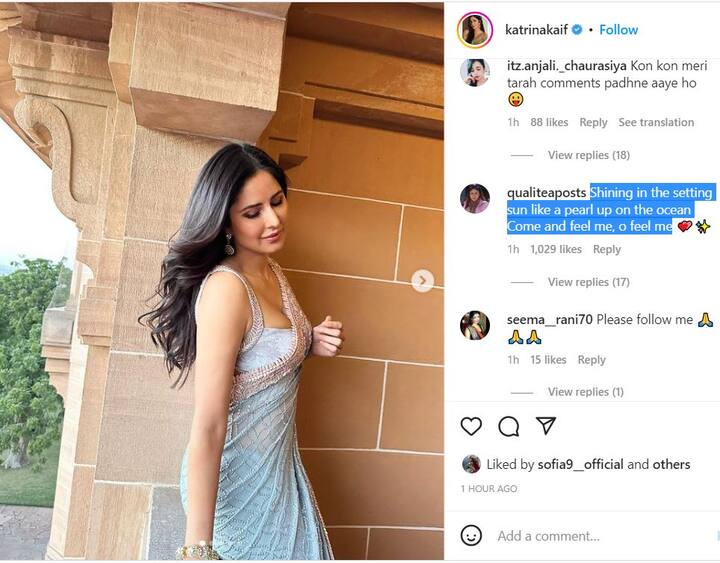 एक फैन ने कमेंट में कैटरीना कैफ के लिए गाना लिखा, 