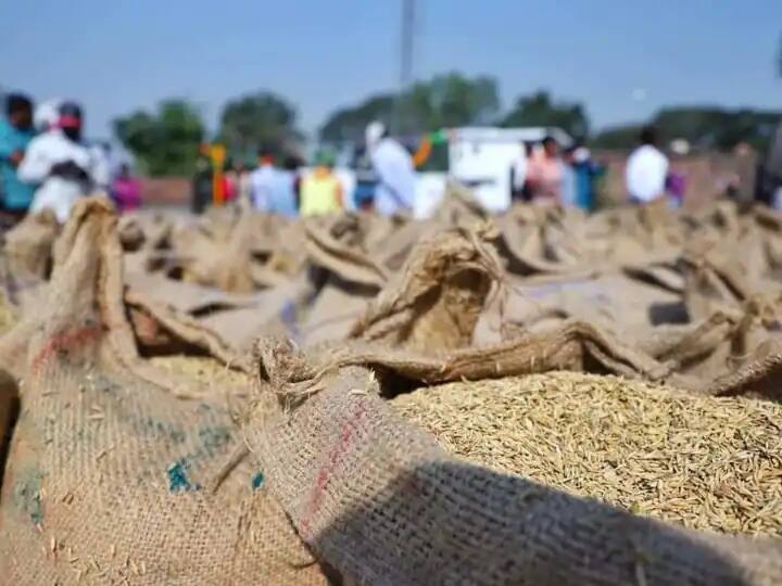 Jabalpur MSP Minimum Support Price on Paddy for Farmers Crop Purchase Started in MP ANN Crops MSP: जबलपुर में शुरू हुई धान की खरीदी, जानिए किसानों को कितना मिलेगा समर्थन मूल्य