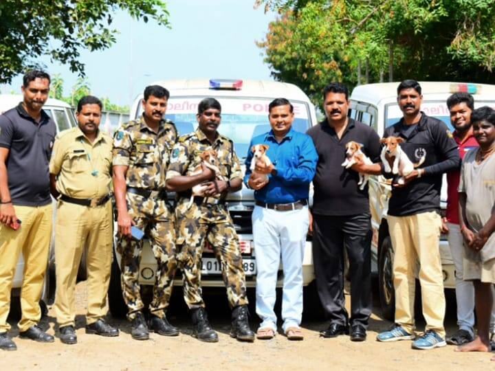 Kerala Police Bought Jack Russell Terrier Dogs From Karur Know Here the Reason TNN Jack Russell Terrier Dog: கரூரில் இருந்து Jack Russell Terrier நாய்களை வாங்கிச் சென்ற  கேரள போலீஸ் - காரணம் என்ன..?