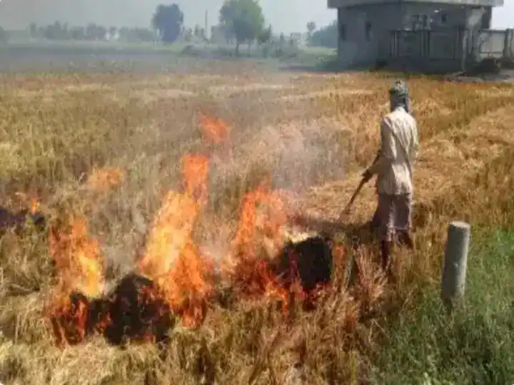 Pilibhit News Sugarcane Farmers Get Decomposer To Prevent Stubble Burning | Pilibhit News: à¤ªà¤°à¤¾à¤²à¥ à¤à¤²à¤¾à¤¨à¥ à¤¸à¥ à¤°à¥à¤à¤¨à¥ à¤à¥ à¤²à¤¿à¤ à¤à¤¨à¥à¤¨à¤¾ à¤à¤¿à¤¸à¤¾à¤¨à¥à¤ à¤à¥ à¤®à¤¿à¤²à¤¾ à¤¡à¥à¤à¤à¤ªà¥à¤à¤°, à¤µà¤¾à¤¯à¥ à¤ªà¥à¤°à¤¦à¥à¤·à¤£ à¤®à¥à¤ à¤à¤à¤à¥ à¤à¤®à¥