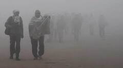 Weather Report : ਠੰਢ ਤੋੜਨ ਲੱਗੀ ਰਿਕਾਰਡ, ਮੌਸਮ ਵਿਭਾਗ ਨੇ ਕੀਤੀ ਭਵਿੱਖਬਾਣੀ