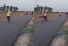 Viral Video: ਸੜਕ 'ਤੇ ਕ੍ਰਿਕੇਟ ਖੇਡ ਰਹੇ ਸਨ ਬੱਚੇ, ਅਚਾਨਕ ਆ ਗਈ ਬਾਈਕ... ਦੇਖੋ ਹਾਦਸੇ ਦੀ ਵੀਡੀਓ