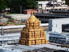 తిరుమలలో పెరిగిన భక్తుల రద్దీ, దర్శనానికి భారీగా సమయం - నిన్నటి హుండీ ఆదాయం ఎంతంటే