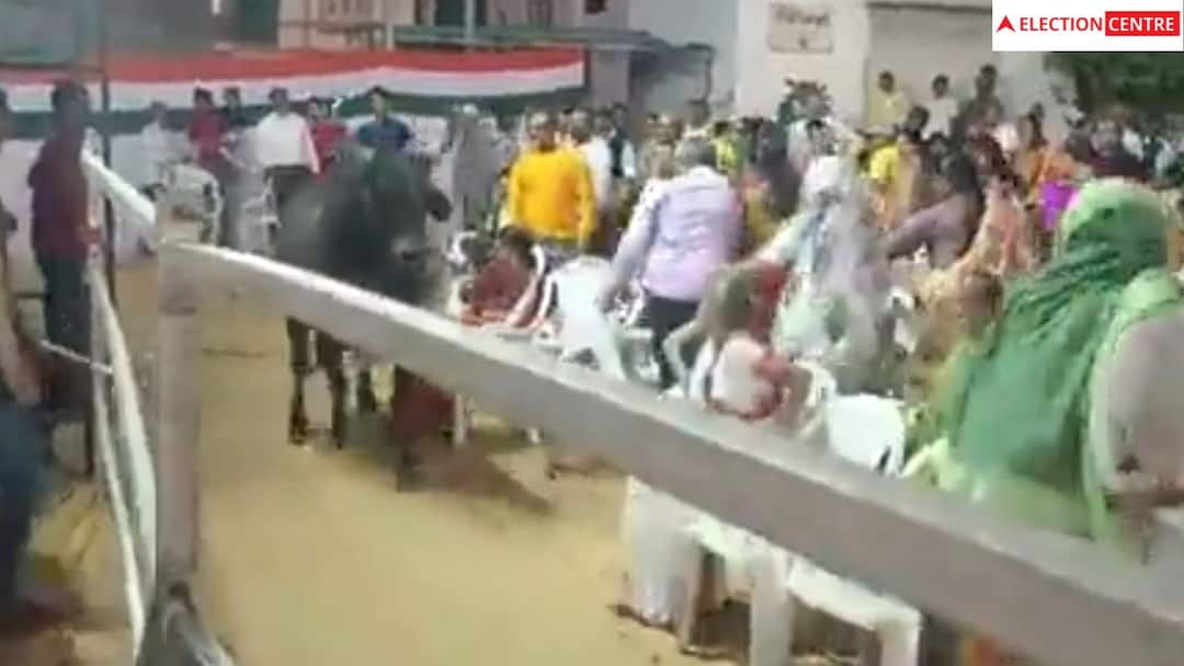 Mallikarjun Kharge and Ashok Gehlot addressed the meeting in Mehsana Gujarat election 2022: કોંગ્રેસની સભામાં આખલો ઘૂસ્યો, અશોક ગેહલોતે કહ્યું, લોકોને ડરાવવા ભાજપે કાવતરું રહ્યું