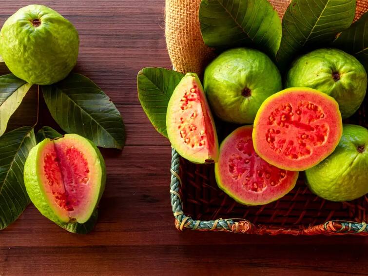 Guvava Benefits: These 10 benefits of eating guava, know.. how much should not be eaten by mistake Guvava Benefits : ਅਮਰੂਦ ਖਾਣ ਦੇ ਹੁੰਦੇ ਇਹ 10 ਫਾਇਦੇ, ਜਾਣੋ.. ਕਿੰਨਾ ਨੂੰ ਗਲਤੀ ਨਾਲ ਵੀ ਨਹੀਂ ਖਾਣਾ ਚਾਹੀਦਾ