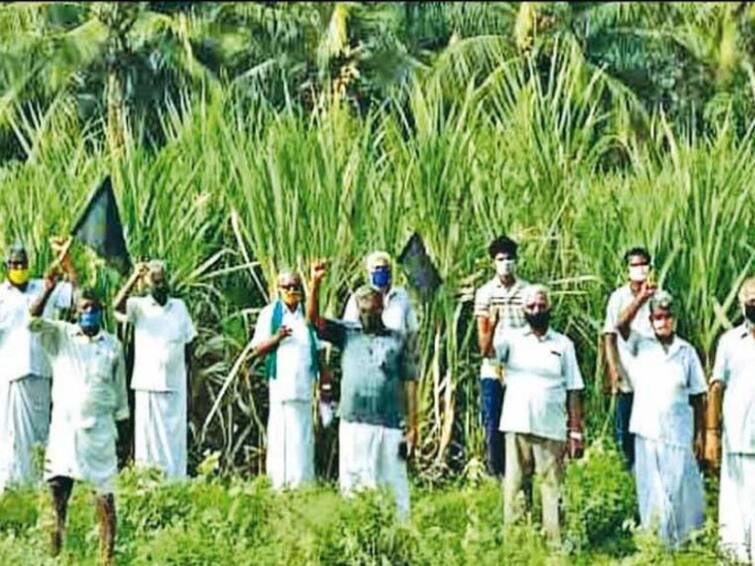 Farmers have decided to go on a sit-in protest demanding that the Tamil Nadu government accept and run a private sugar factory near Kapistalam தனியார் சர்க்கரை ஆலையை அரசே ஏற்று நடத்த வேண்டும் - கரும்பு விவசாயிகள் தீர்மானம்
