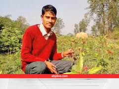जड़ी-बूटियों से लाखों कमा रहा किसान, नहीं होता एक पैसे का भी खर्चा! आप भी जान लें जीरो बजट खेती का ये नुस्खा