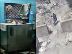 Shraddha-Like Murder In Delhi: Woman Chops Husband's Body, Stores Pieces In Fridge To Dispose Later