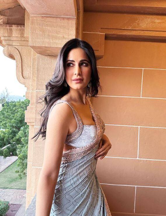 कैटरीना ने स्लीवलेस ब्लाउज के साथ अपने बालों को खुला छोड़ा है और इस लुक में वह बला की खूबसूरत लग रही हैं.