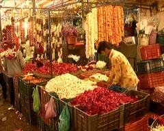 Flower Price Hike: ગુલાબ સહિતના તમામ ફૂલના ભાવમાં થયો વધારો, હજુ પણ વધશે ભાવ, જાણો શું છે કારણ