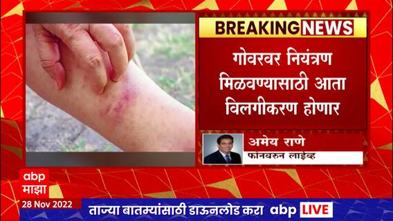 Measles : Rubella Govar वर नियंत्रणासाठी विलगीकरण व्यवस्था करा, जिल्हा प्रशासन, महापालिकांना निर्देश