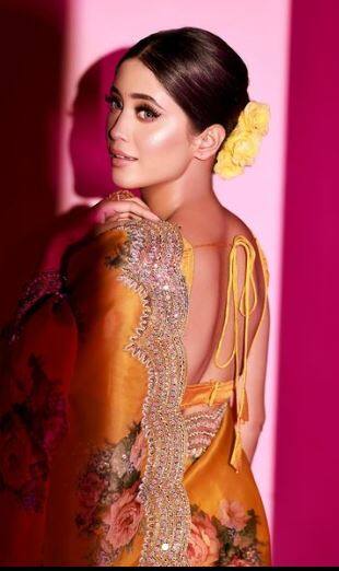 ਫਲੋਰਲ ਸਾੜ੍ਹੀ 'ਚ ਸ਼ਿਵਾਂਗੀ ਨੇ ਦਿੱਤੇ ਸ਼ਾਨਦਾਰ ਪੋਜ਼