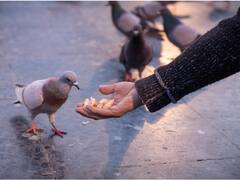 Morning Tips: सुबह जो करते हैं ये काम मां लक्ष्मी रहती हैं उनपर मेहरबान, होती है तरक्की ही तरक्की