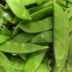 Winter Vegetables : ডায়াবেটিস , কোষ্ঠকাঠিন্য দূরে রাখে, সিমের হাজার গুণ